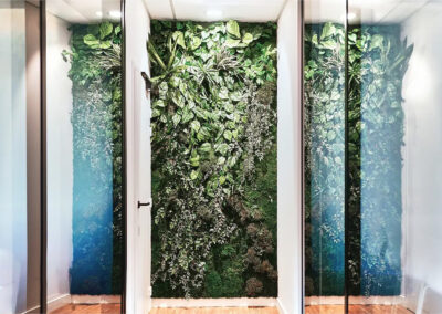 Mur végétal luxuriant installé dans un couloir, composé de plantes vertes variées pour une ambiance nature.