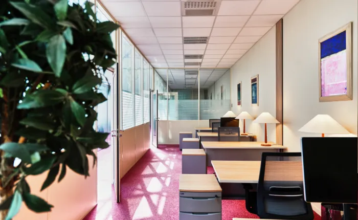 Bureaux partagés : flexibilité et networking